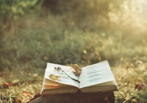 詩がもたらす魔法と、痛みを和らげるパワー