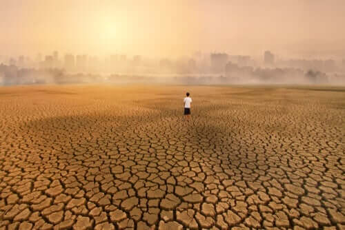 エコ不安症：気候変動がもたらす影響について