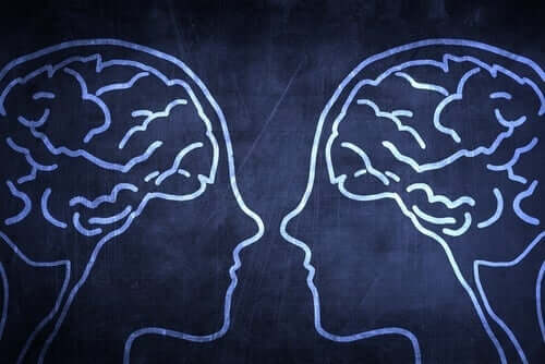 人類の進化上の強み「社会脳」