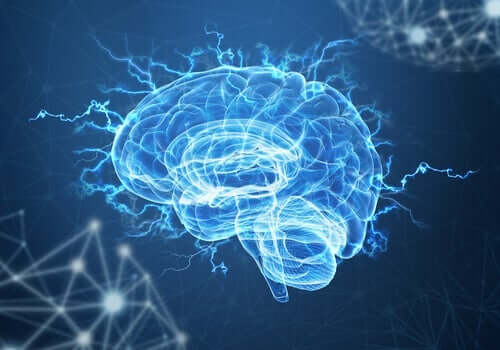 神経可塑性と心的外傷後ストレス：脳はトラウマを乗り越えられるか？