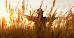 問題解決のためのストローマン・プロポーザル法