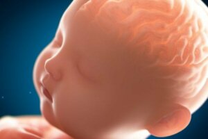 表面のなめらかな脳:厚脳回症とは?