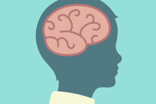 ピアジェ 発達段階 具体的操作期