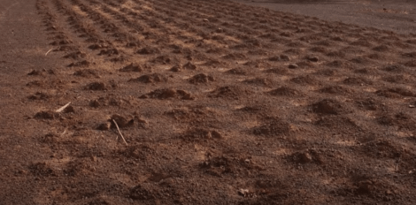 ヤコバ・サワドゴ、サハラ砂漠に打ち勝った人物