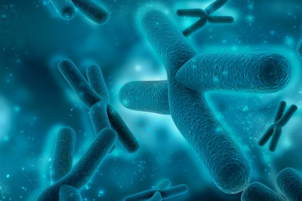 ウィリアムズ症候群 症状 原因 治療法