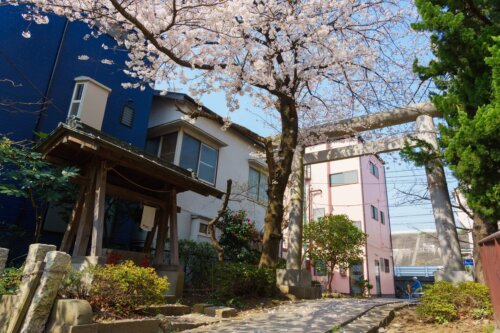 徹底的に調査する